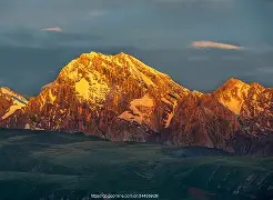 天山暴熊队对阵岭北雪豹队，冰球联赛惊险晋级，内线统治篮板——年轻人站出来了的简单介绍-九游网页登录