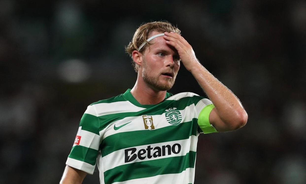  葡萄架搭架效果图 